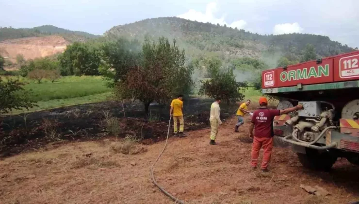 Bilecik’te Orman Yangını Kısa Sürede Söndürüldü